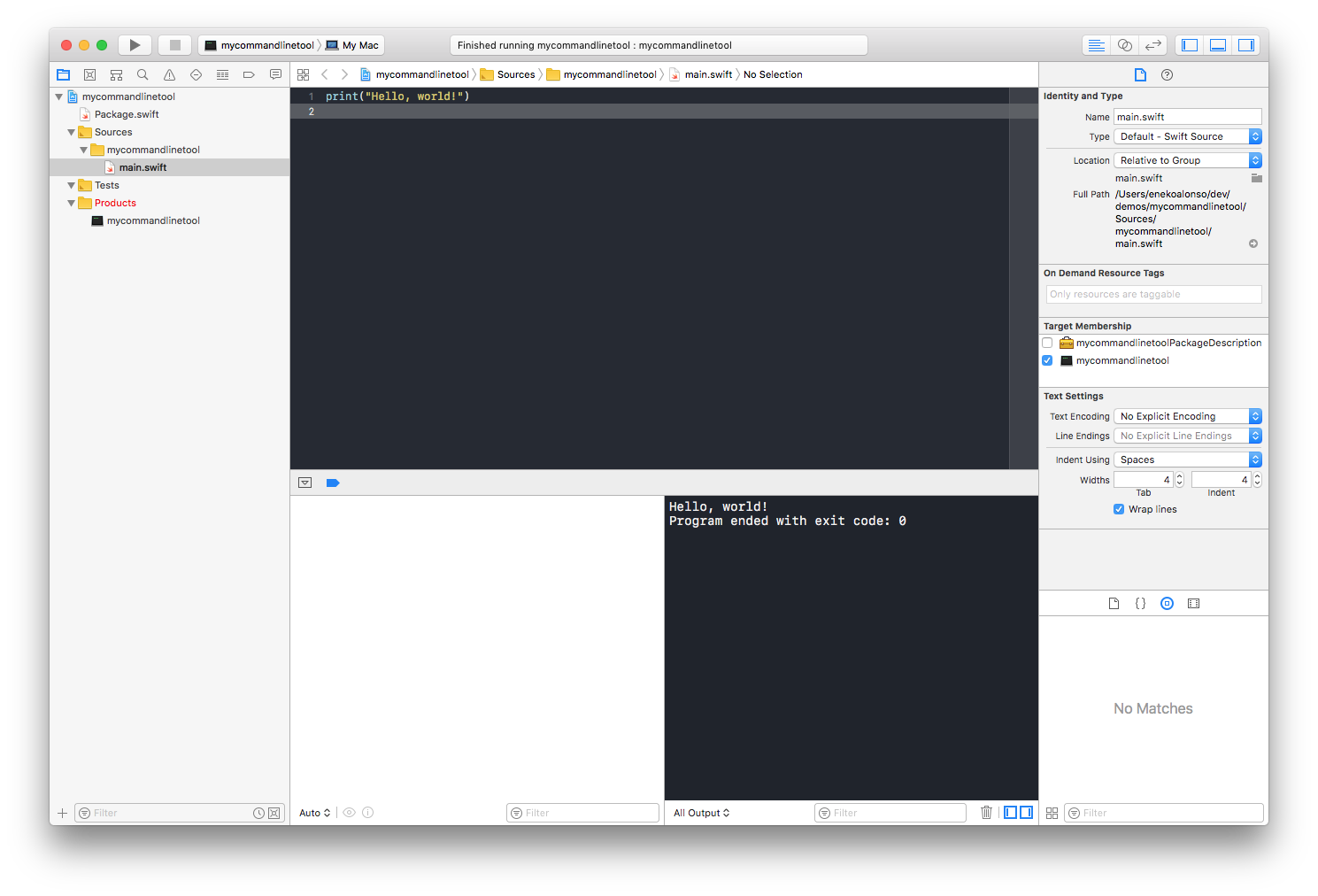 Running the project on Xcode